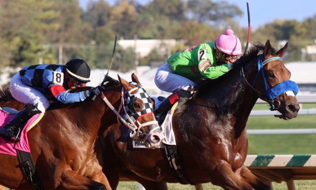 Maryland Million: 5 story lines