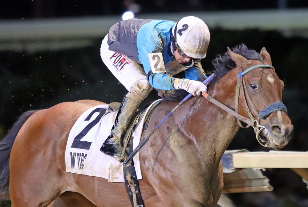 Jeff Runco has pair for Laurel’s Heft S.