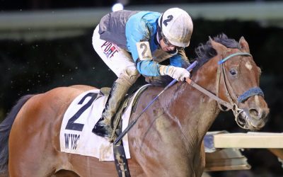 Runco, Raim, Boca sweep WVBC 2yo races