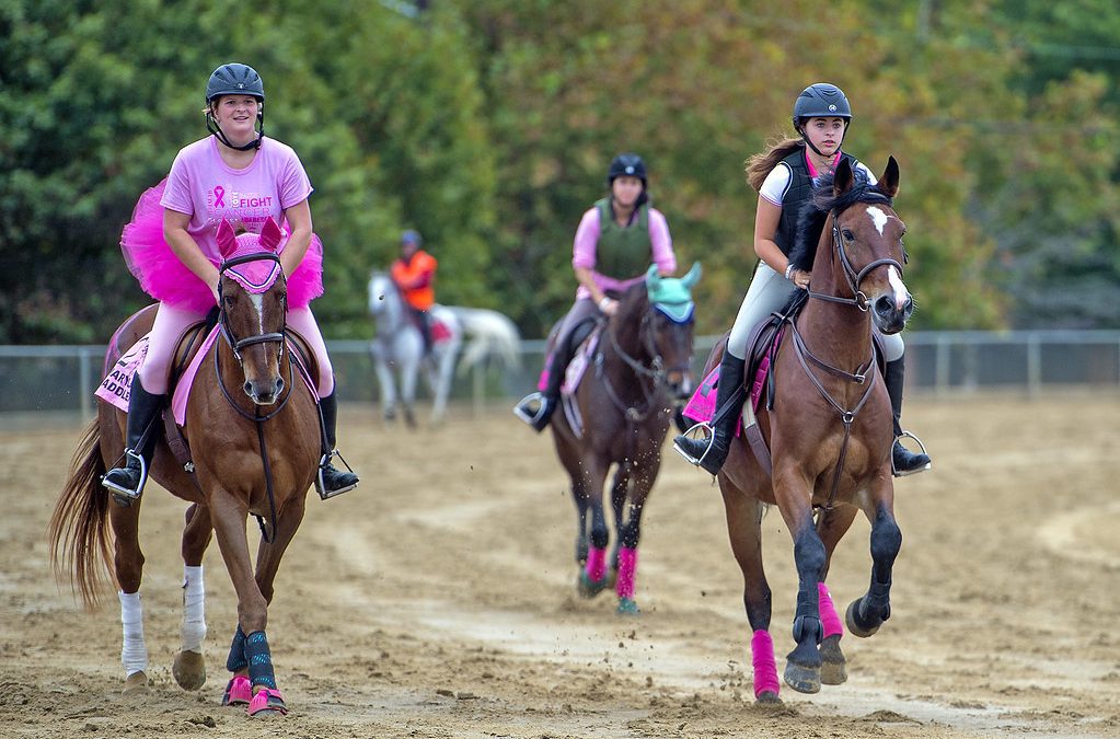 Canter for a Cause set for return to Pimlico