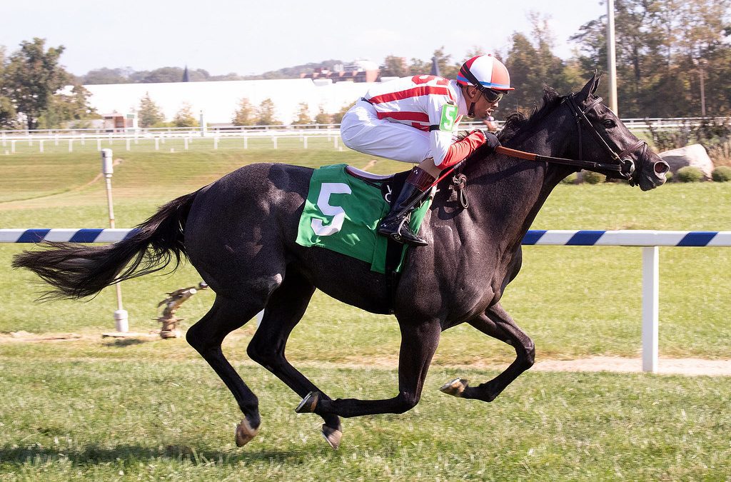 Breeders’ Cup Friday: Midlantic connections