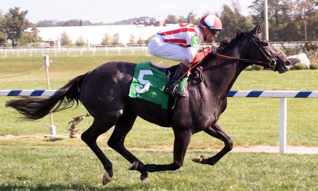 Mid-Atlantic Three Stars: October 6