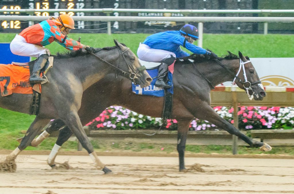 Triple Crown trail to heat up this weekend