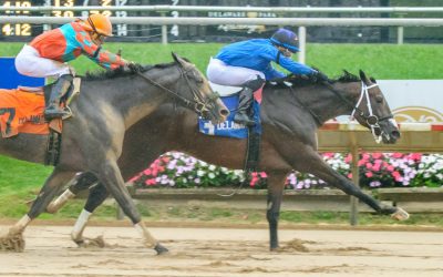 Cooke Creek scores in Rocky Run Stakes