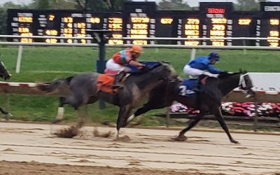 Midnight Trouble stretching back out in Rocky Run