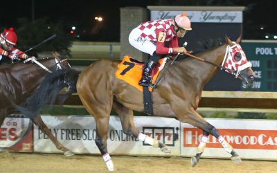 Hypothesis set for season bow in It’s Only Money