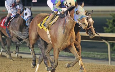 WVBC: North Atlantic back for fifth Classic try