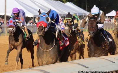 Laurel Park picks and ponderings: July 14, 2024