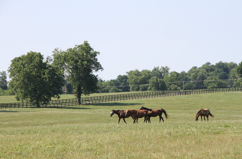 TAA makes nearly $4 million in aftercare grants