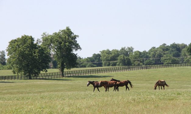 TAA makes nearly $4 million in aftercare grants