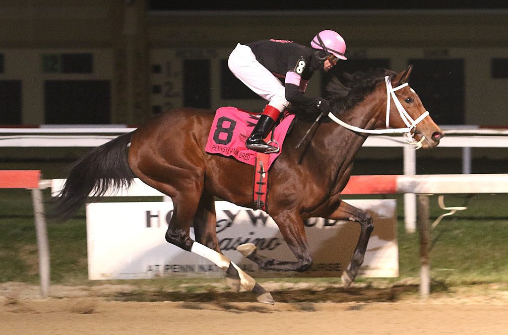 Parx picks and horses to watch: Pennsylvania Nursery S.
