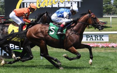 Maryland stallion season auction set for January