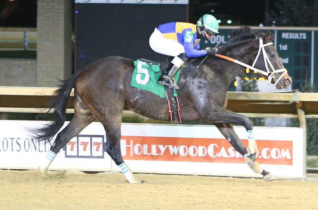 O’Sullivan Farms to be well represented at Funkhouser Memorial Stakes