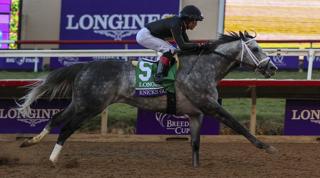 Knicks Go stretched out to win the Breeders' Cup Classic. Photo by Tim Sudduth/Breeders’ Cup/Eclipse Sportswire/CSM. Knicks Go