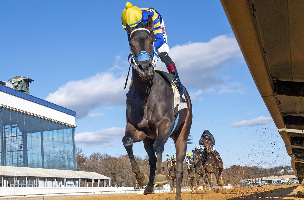 Laurel Park stakes: Fair odds board