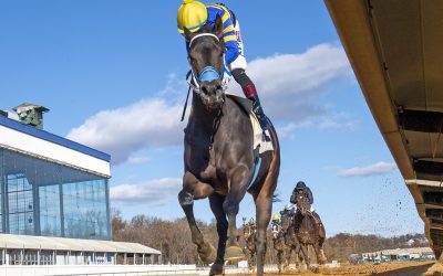 Laurel Park stakes: Fair odds board