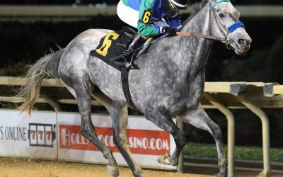 WV-bred champ Star of Night retired