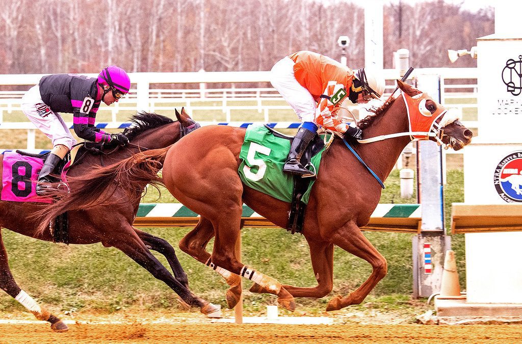 Bald Eagle Derby snippets