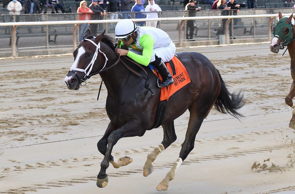 Wondrwherecraigis may run next in Fire Plug