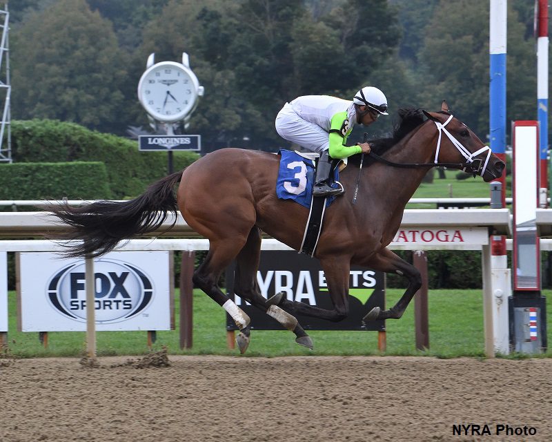 Jester Calls Nojoy solid fave in Md Juvenile Fillies