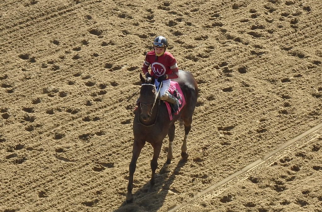 “Great progress” reported on Laurel Park track