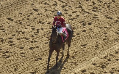 “Great progress” reported on Laurel Park track