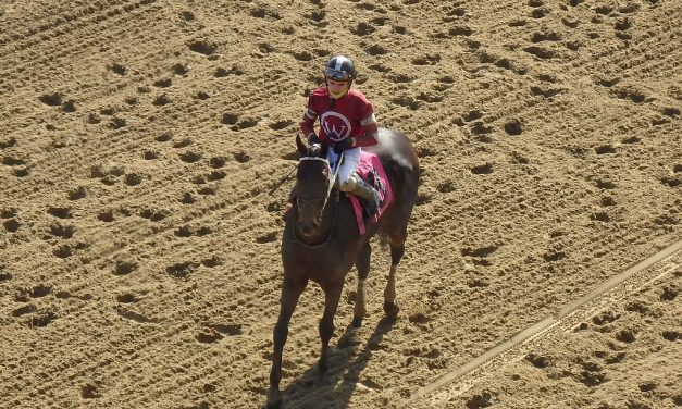 “Great progress” reported on Laurel Park track
