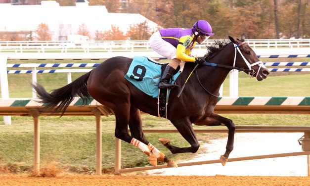 Beneath the Stars stepping up in Gin Talking