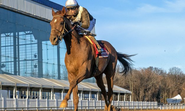 Mid-Atlantic Three Stars: December 29