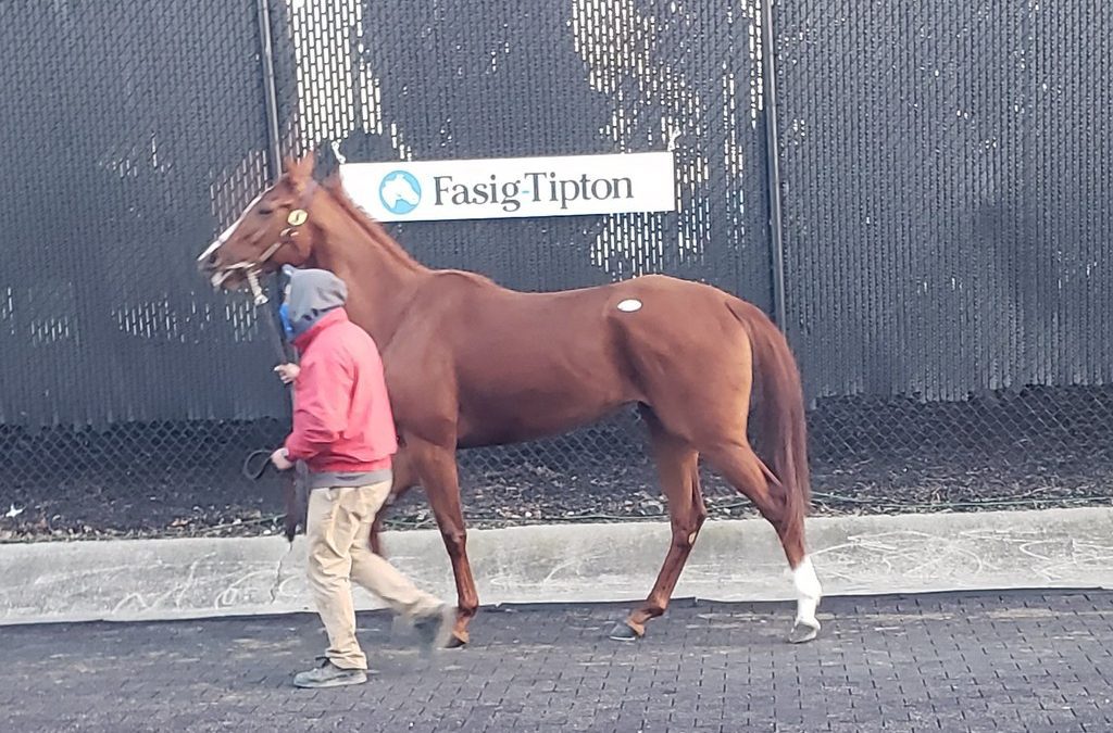 Fasig-Tipton mixed sale set for Tuesday