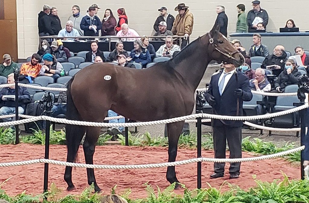 Fasig-Tipton mixed odds ‘n’ ends
