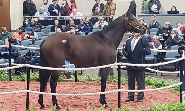 Fasig-Tipton mixed odds ‘n’ ends