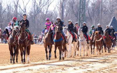 HISA report finds “no singular cause” of Laurel spring fatalities