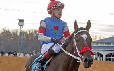 Jock Mychel Sanchez suspended, taken off mounts