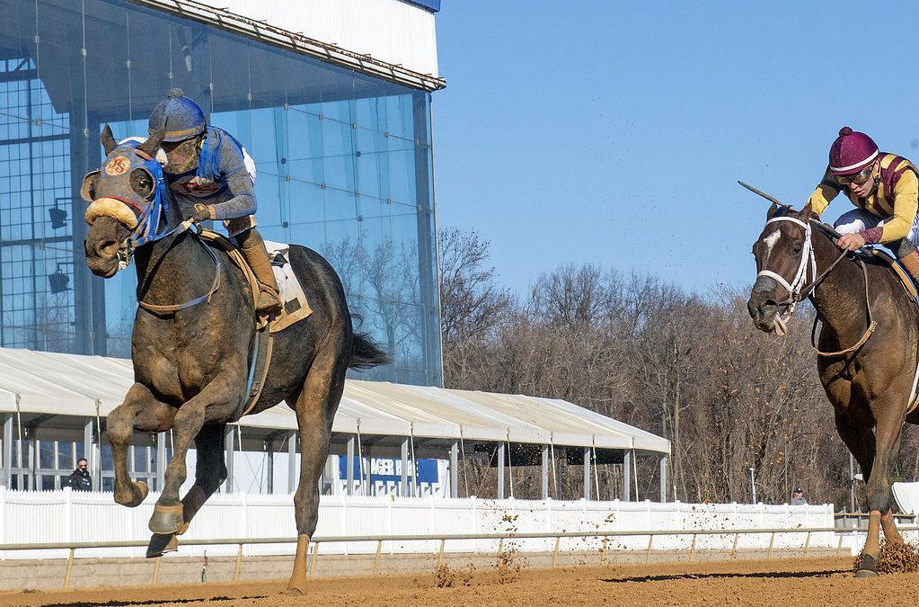 Shake Em Loose stuns in Heft S.
