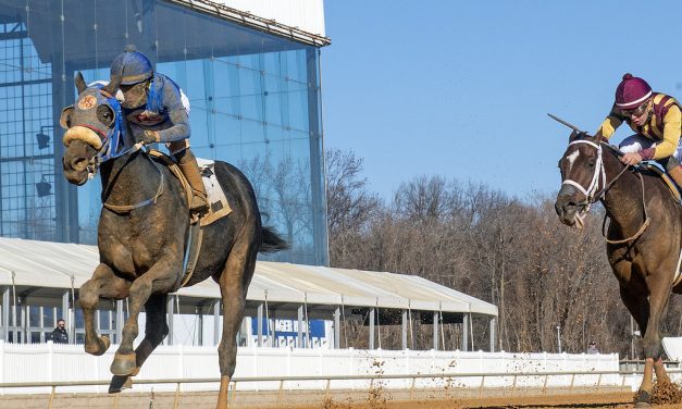 Shake Em Loose stuns in Heft S.