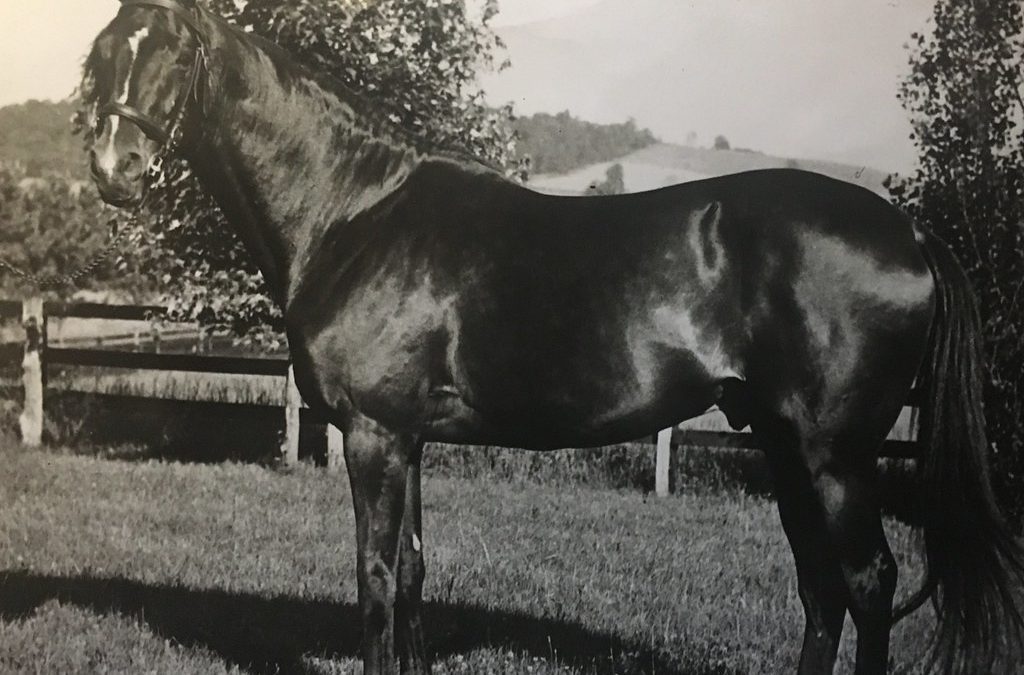 BackTracks: Sun Beau shines brightest