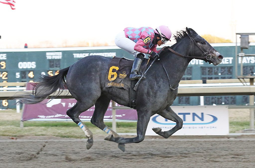 Witty cruises to Stanton Stakes win