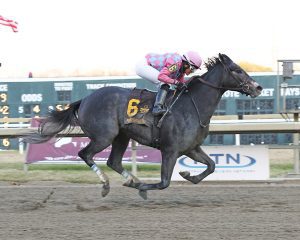 Witty cruised home much the best in the Pennsylvania Nursery Stakes. Photo by Barbara Weidl/EQUI-PHOTO. Witty