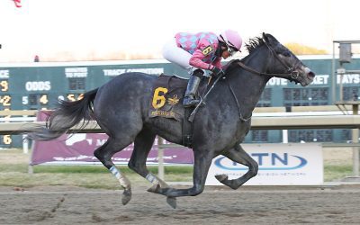 Witty cruises to Stanton Stakes win