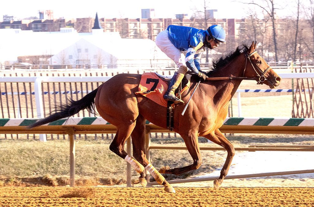Victor Carrasco: “All about the right horse”