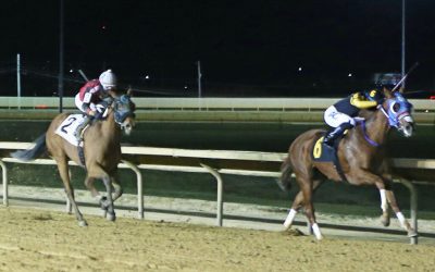 Timeisgolden has knack for silver