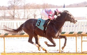 Witty was an easy winner in the Spectacular Bid Stakes. Photo by Jim McCue. Witty