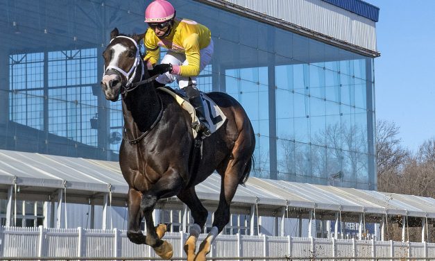 Wondrwherecraigis sharp in Fire Plug score