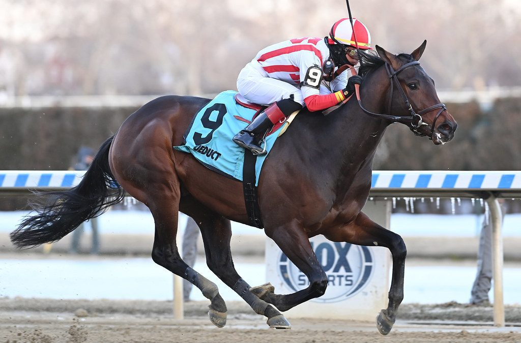 Preakness Profile: Early Voting