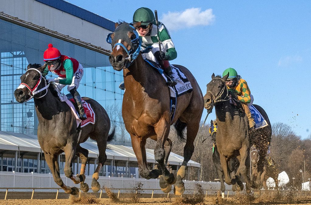Laurel Park sets winter meet schedule