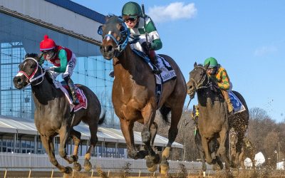 Laurel Park sets winter meet schedule