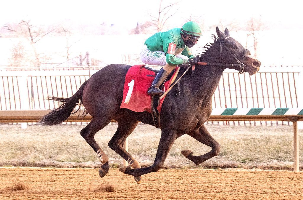 Laurel Park stakes Saturday quick hits