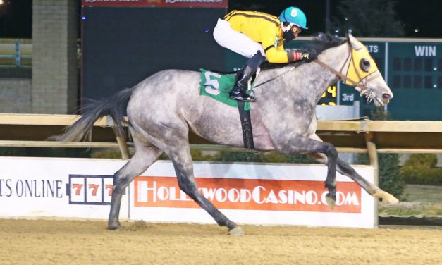 Finally, My Pretty Eyes turning into a real looker