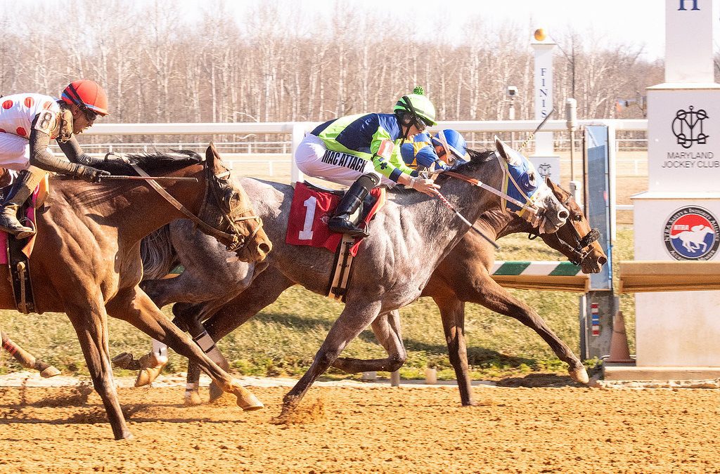 VIDEO: Laurel Park in 60 seconds: March 14